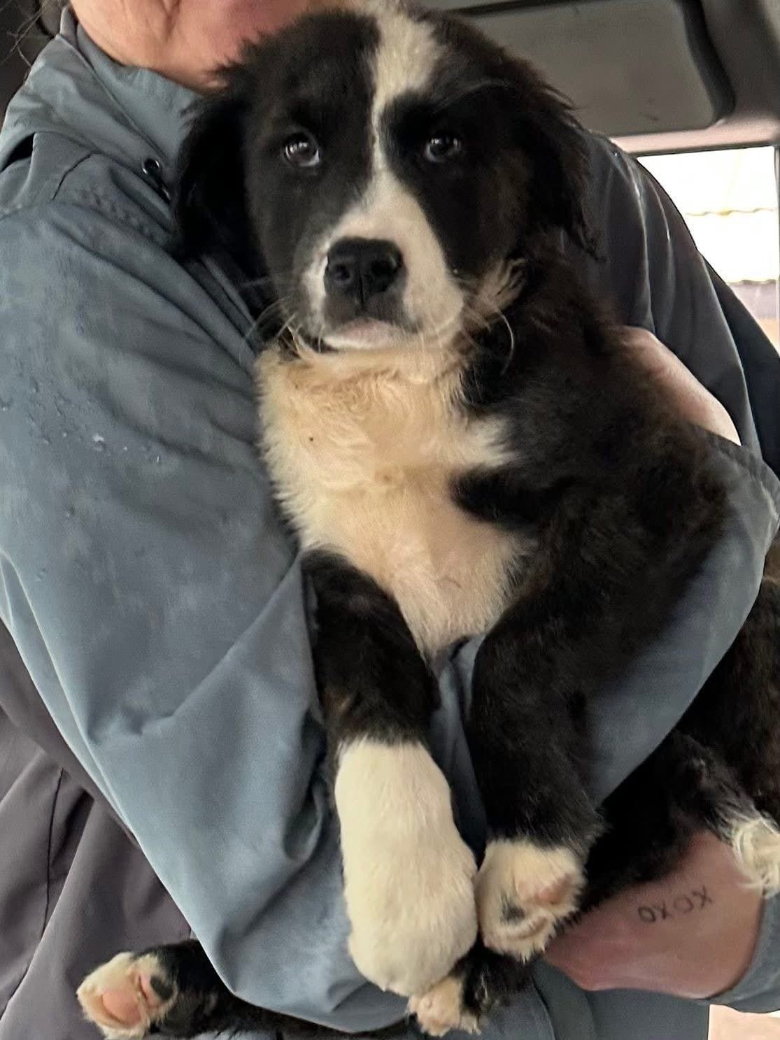 Are Towels Communal? Find out here. - Defunkify