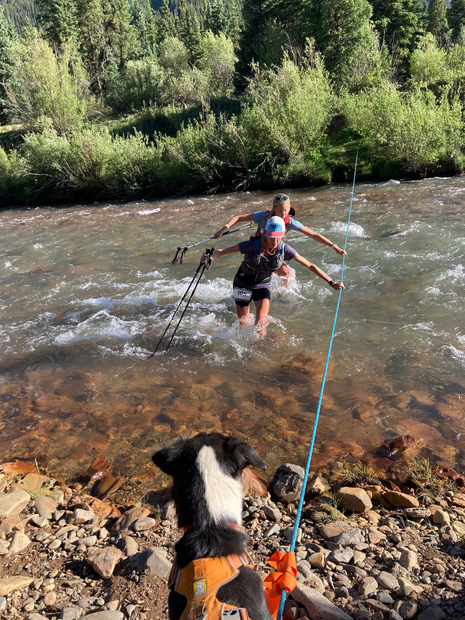 The Power of Plant-Based Ingredients in Defunkify: Eco-Friendly Cleaning for Outdoor Gear - Defunkify